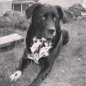 Meet your Posher, Damien